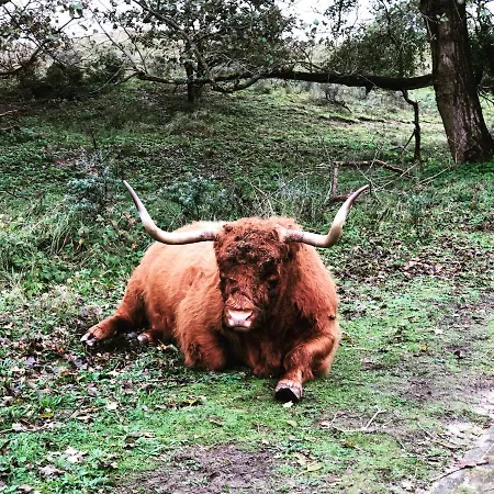 Zomerhuis Rita Casa vacanze *