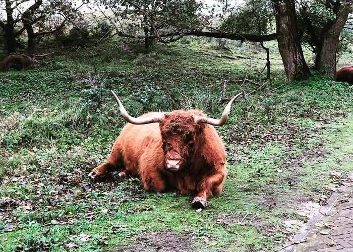 Zomerhuis Rita Vakantiehuis *